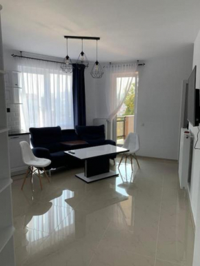 Cozy apartment in the center of Cluj-Napoca